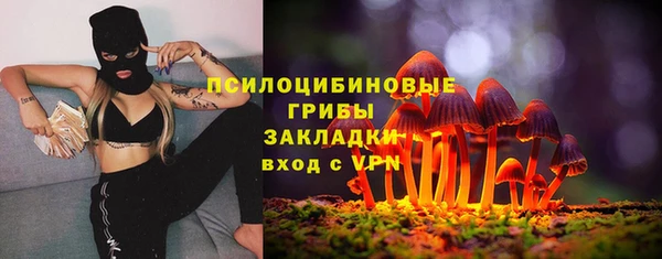 2c-b Арсеньев